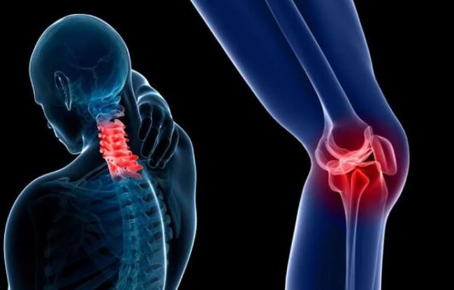 باحثون يطورون علاجا مستداما لهشاشة العظام
