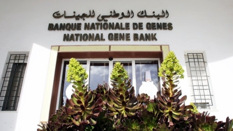 البنك الوطني للجينات والوكالة الوطنية للنهوض بالبحث العلمي يتفقان على التعاون لجمع المعارف ودمجها ضمن منظومة البنك