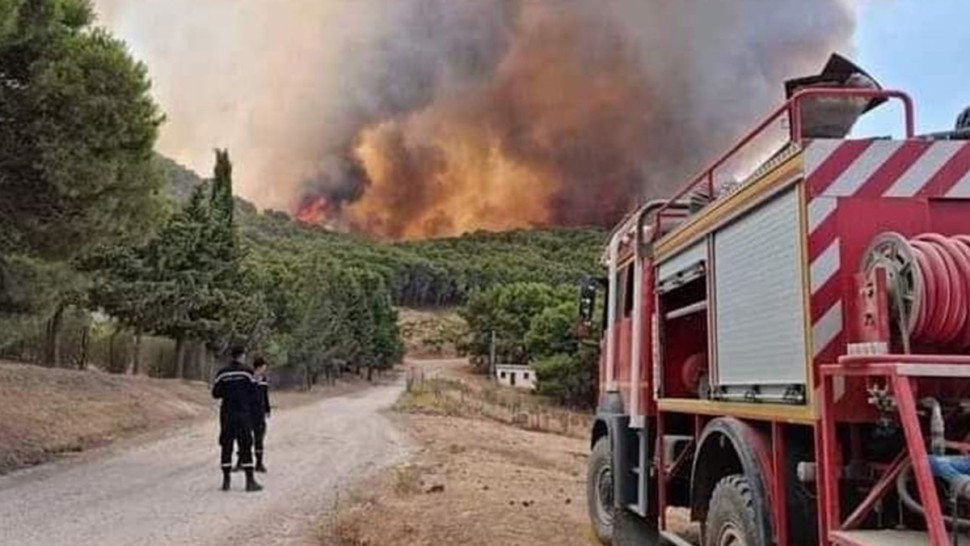 الحماية المدنية : 515 تدخلا منها 110 لإطفاء حرائق خلال الأربع والعشرين ساعة الماضية