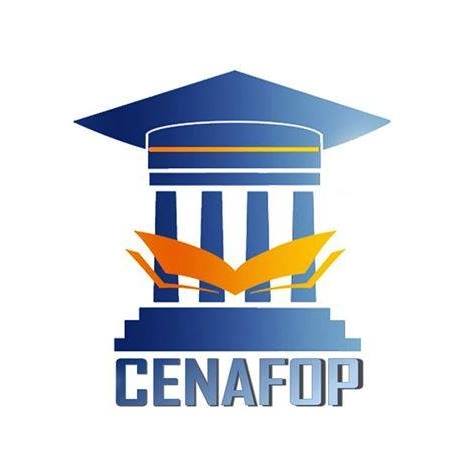 المركز الوطني للتكوين وتطوير الكفاءات ينظم دورات حول الصحة النفسية للتلميذ استعدادا للعودة المدرسية المقبلة