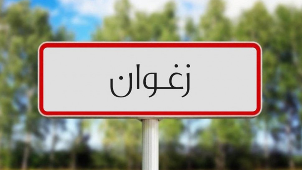 زغوان: اختتام  فعاليات سلسلة من الورشات التفاعلية واللقاءات الحوارية حول حماية الناشئة من مخاطر السلوكات المحفوفة بالمخاطر. 