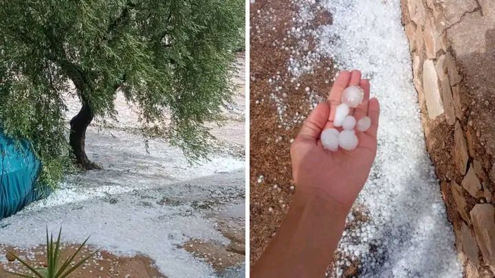 عدد من الفلاحين بولايتي قفصة والقصرين يطالبون بالتدخل لجبر الاضرار بمحاصيلهم الناتجة عن  نزول كميات هامة من الامطار مصحوبة بحجر البرد 