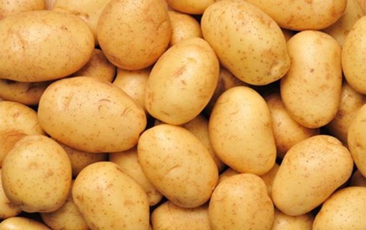 نابل: حجز أكثر من 70 طنّ من البطاطا بمسالك توزيع غير قانونية