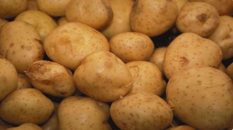 نابل: حجز أكثر من 70 طنّا من البطاطا بمسالك توزيع غير قانونية منذ بداية جويلية