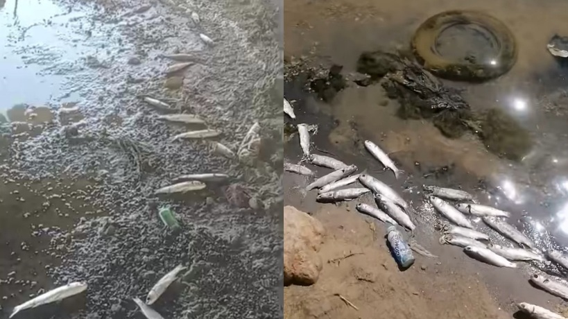 وضع بيئي متفاقم في سبخة حلق المنجل بسيدي بوعلي 