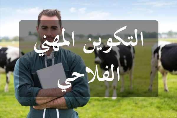 اهمية التكوين الاكاديمي في المجال الفلاحي.