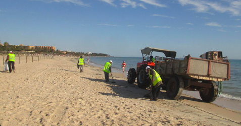 Programme de nettoyage des plages : 8 000 m³ de déchets collectés à début août 2025