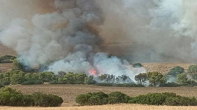 سليانة: السيطرة على حريق جبل الفراشيش