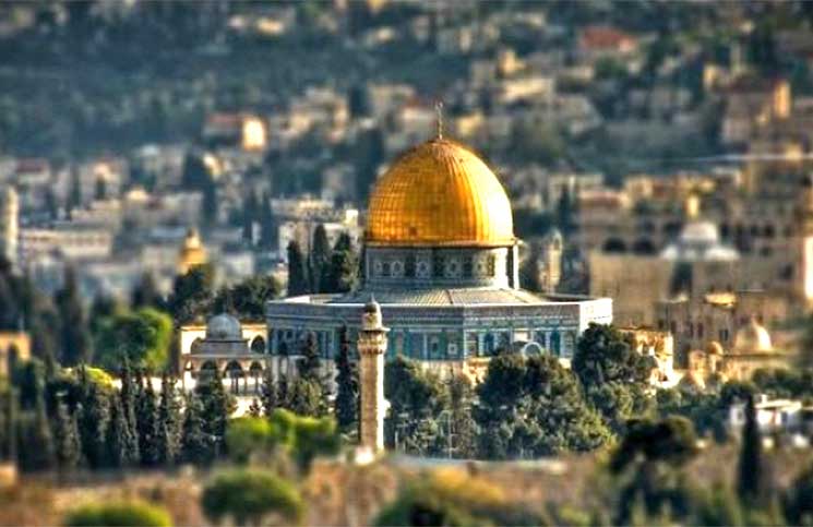 استطلاع: غالبية الألمان يؤيدون الاعتراف بدولة فلسطينية فورا