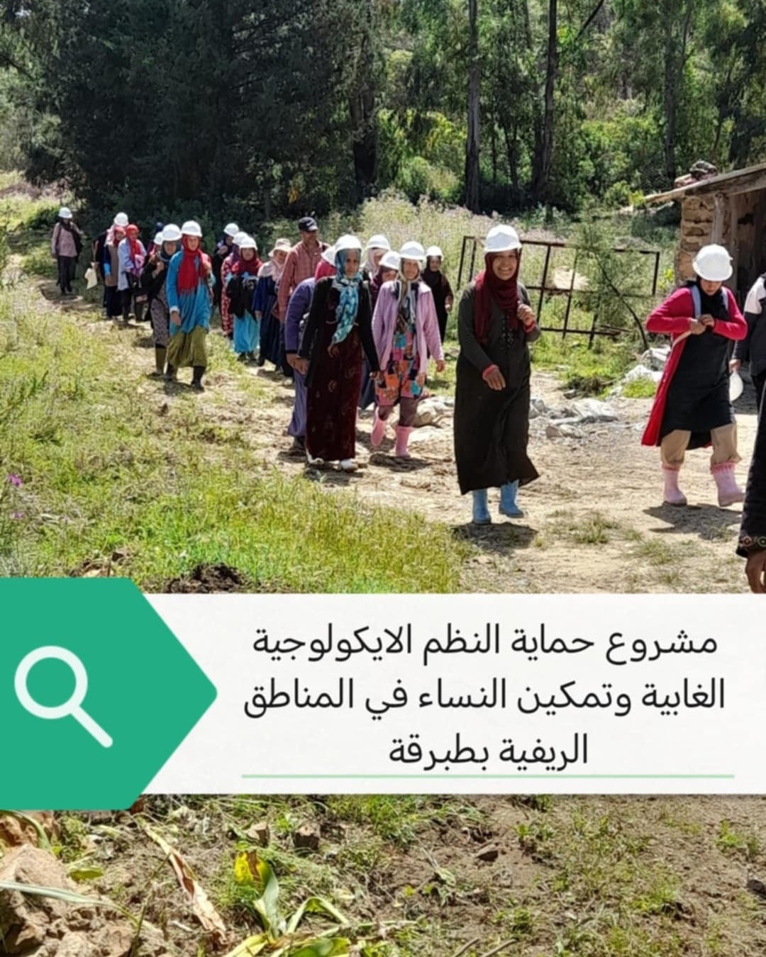المشروع النسائي حول النظم الإيكولوجية الغابية بطبرقة : تهيئة 20 كلم من المقاطع النارية بمشاركة 300 امراة ريفية 