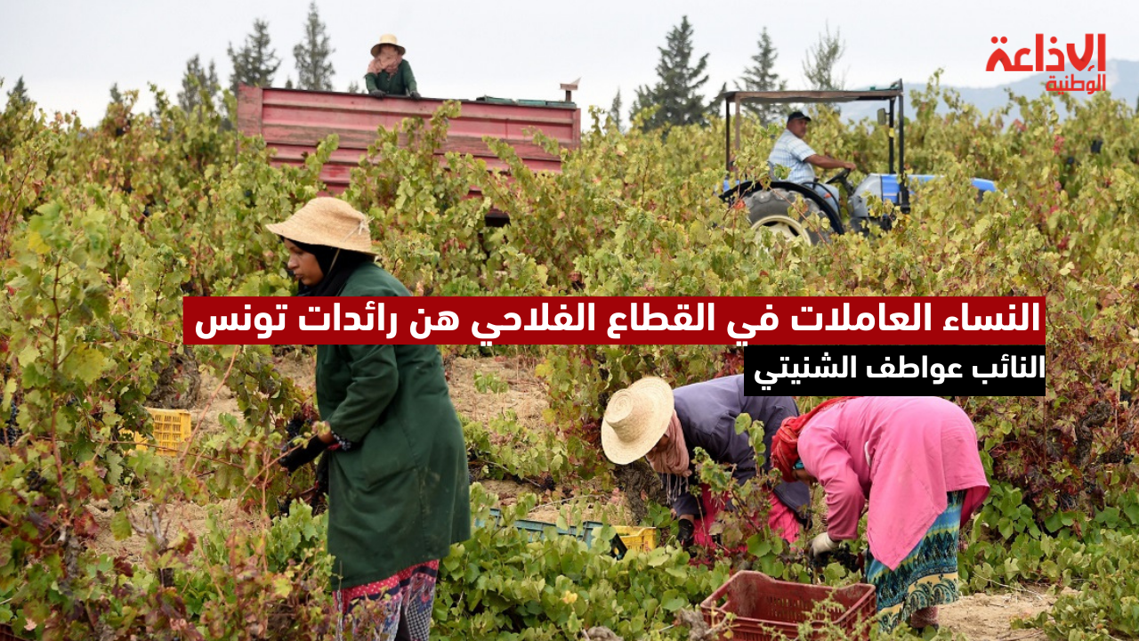النائب عواطف الشنيتي: النساء العاملات في القطاع الفلاحي هن رائدات تونس