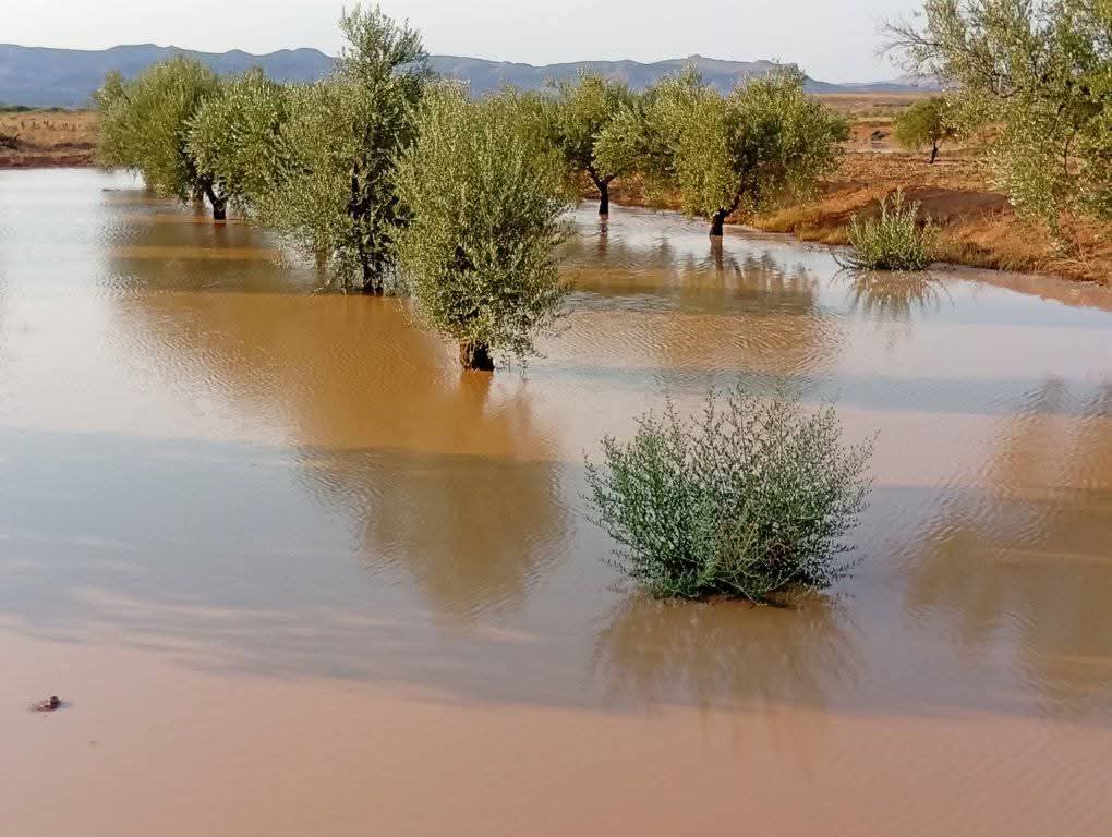 كميّات الأمطار المسجلة بعدد من مناطق البلاد
