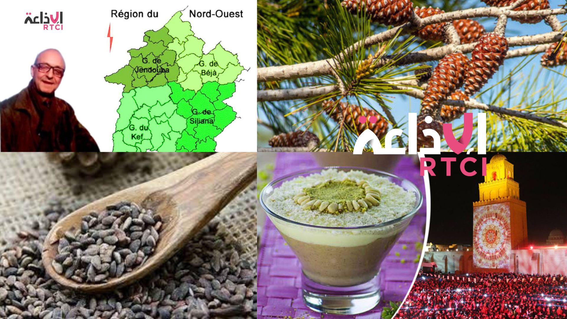 Tunisie : flambée des prix des grains de pin d’Alep à l’approche de la fête du Mouled