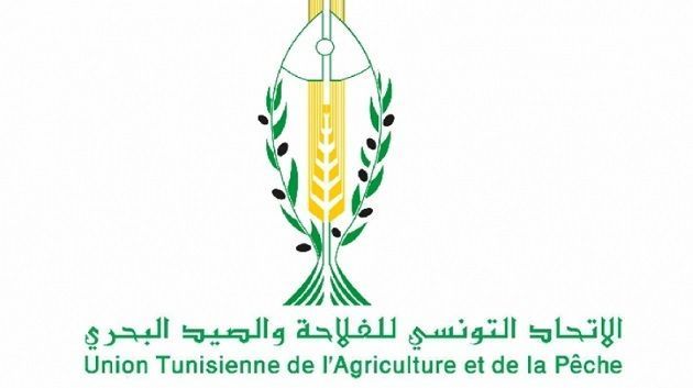الاتحاد التونسي للفلاحة: احترام مؤسسات الدولة ورموزها والمحافظة على السلم الإجتماعية مبادئ ثابتة.