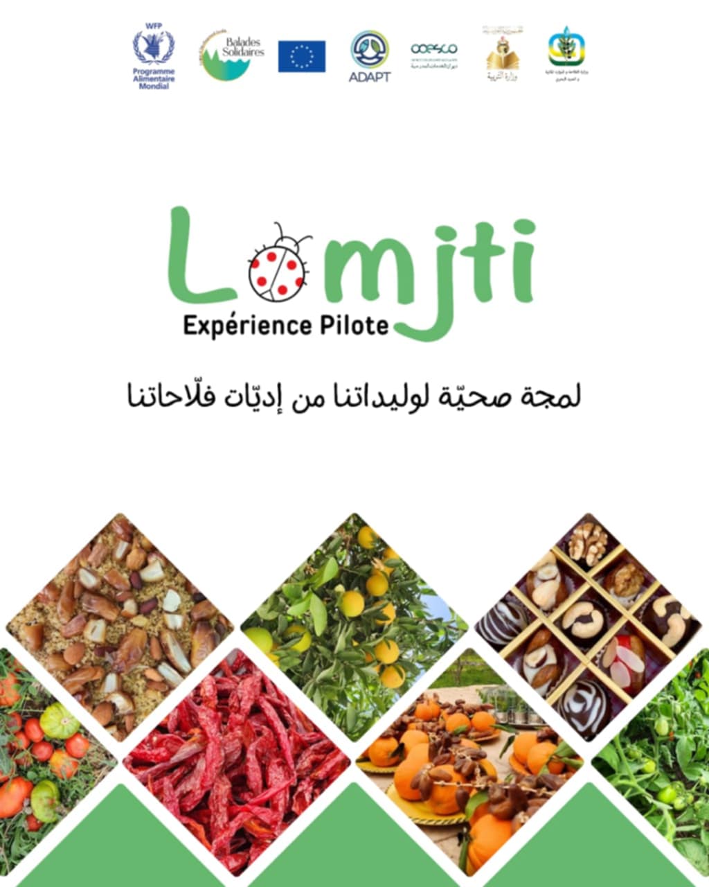 جمعية الجولات التضامنية تنفذ مشروع 'لمجتي' لفائدة تلاميذ نفزة