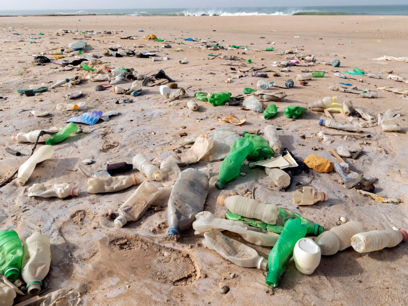 النفايات البلاستيكية تهيمن بشكل كبير على السواحل التونسية (الصندوق العالمي للطبيعة )