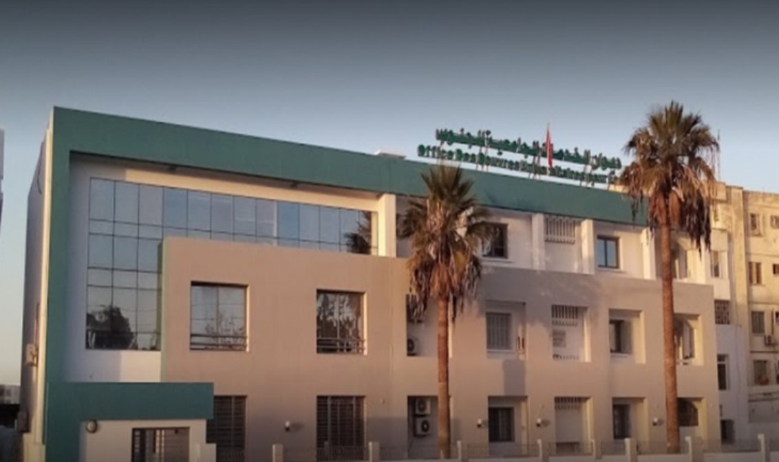  بداية من 20 أوت الجاري: تقديم مطالب السكن الجامعي وتجديد السكن بالنسبة لديوان الخدمات الجامعية للجنوب