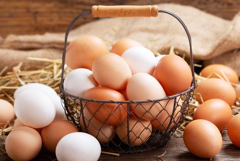 رئيس غرفة تجار الدواجن يدعُو وزارة التجارة إلى التدخل لضبط هوامش الربح بخصوص مادة البيض