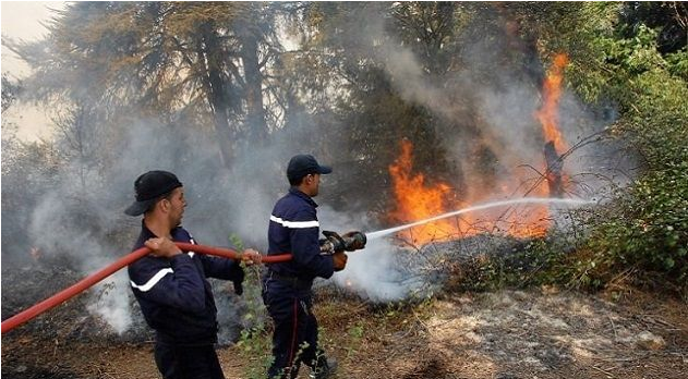 الحماية المدنية: 530 تدخلا منها 87 لإطفاء حرائق خلال الأربع والعشرين ساعة الماضية