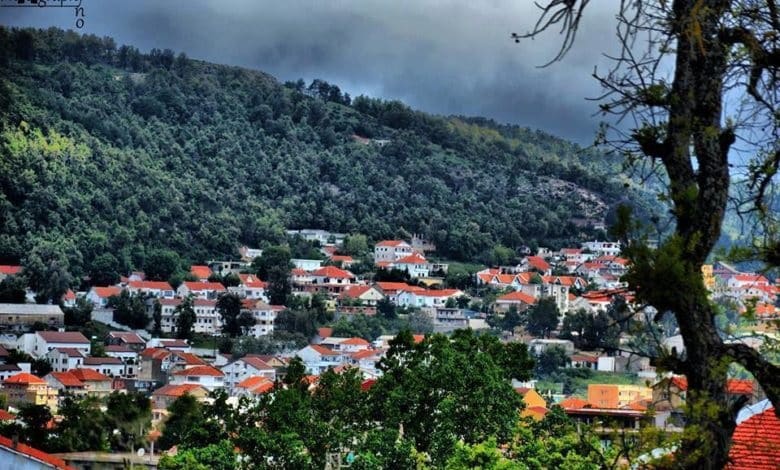 من 1 جانفي إلى 18 أوت 2025: توافد أكثر من 738 ألف سائح جزائري على المعابر الحدودية الثلاثة بجندوية