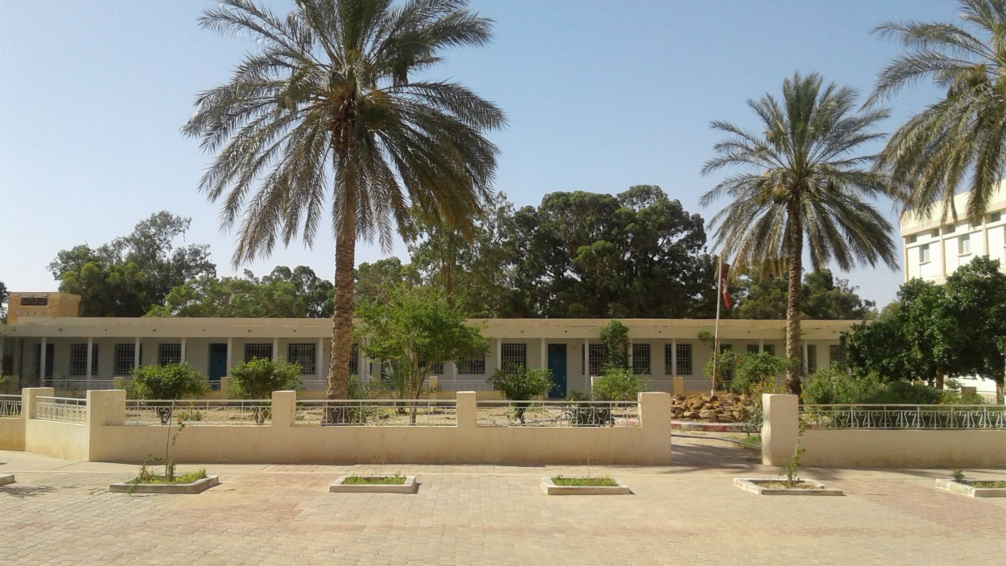 المركز القطاعي للتكوين المهني الفلاحي في زراعة النخيل بدقاش : تواصل عملية قبول مطالب التسجيل للراغبين في التكوين في عدة إختصاصات 