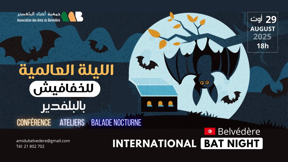 جمعية أحباء البلفدير تنظم الليلة العالمية للخفافيش يوم 29 أـوت الجاري بمنتزه البلفدير