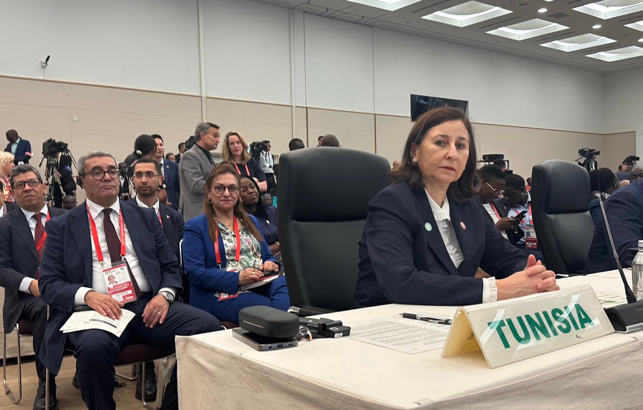 رئيسة الحكومة: تونس تعتز بانتمائها الإفريقي وإفريقيا للأفارقة