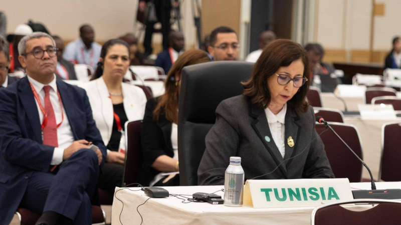 رئيسة الحكومة: تونس تعتز بانتمائها الافريقي ،ورفعت شعارها عاليا بان تكون افريقيا للافارقة