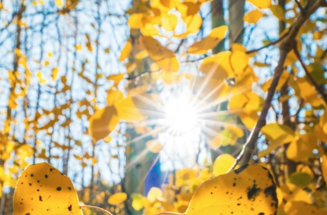 اليوم: الحرارة تصل إلى 44 درجة وأمطار ببعض الجهات