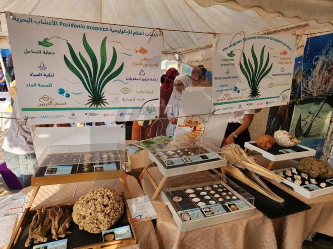تظاهرة تحسيسية بجربة حول اهمية المعشبات البحرية وضرورة الحفاظ عليها