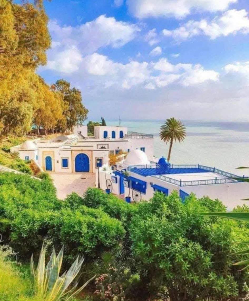  طقس مغيم جزئيا فتدريجيا كثيف السحب بالمناطق الغربية للشمال والوسط