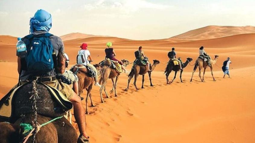  ديسمبر المقبل: تنظيم الدورة الثانية للصالون الدولي للسياحة الصحراوية والواحية.