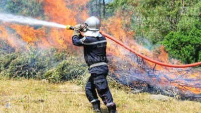 Siliana : Incendie maîtrisé au mont Frouha grâce à l’intervention de la protection civile