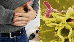 سوسة : هل هنالك جرثومة السالمونيلا  في المياه المعالجة المعدة للري؟