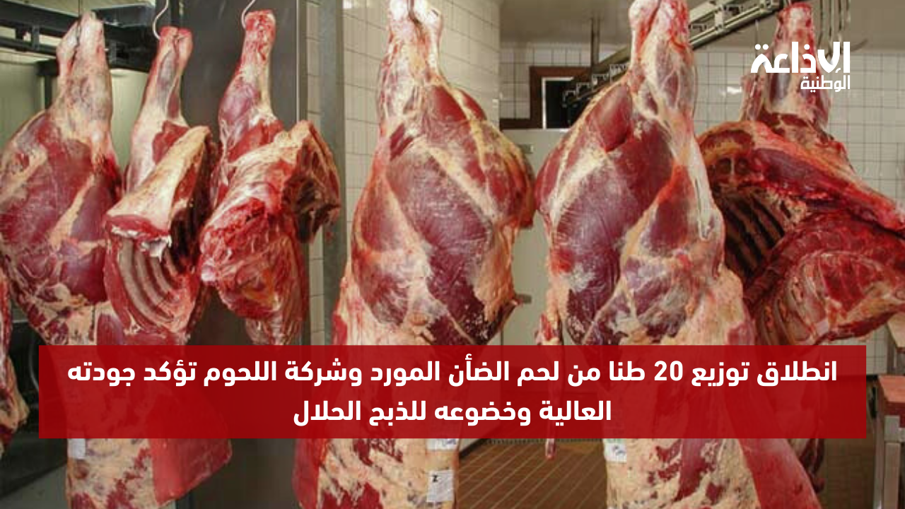 انطلاق توزيع 20 طنا من لحم الضأن المورد وشركة اللحوم تؤكد جودته العالية وخضوعه للذبح الحلال