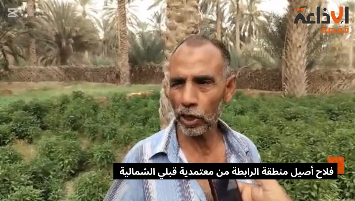 قبلي: تباين في صفوف الفلاحين بين مستبشر بالامطار ومتخوّف منها