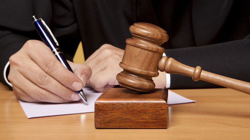 أريانــة : فتح تحقيق لمباشرة تتبع عــدلي ضدّ شخص تعمد قطع الأشجار بالمنطقة الغابية نور جعفر