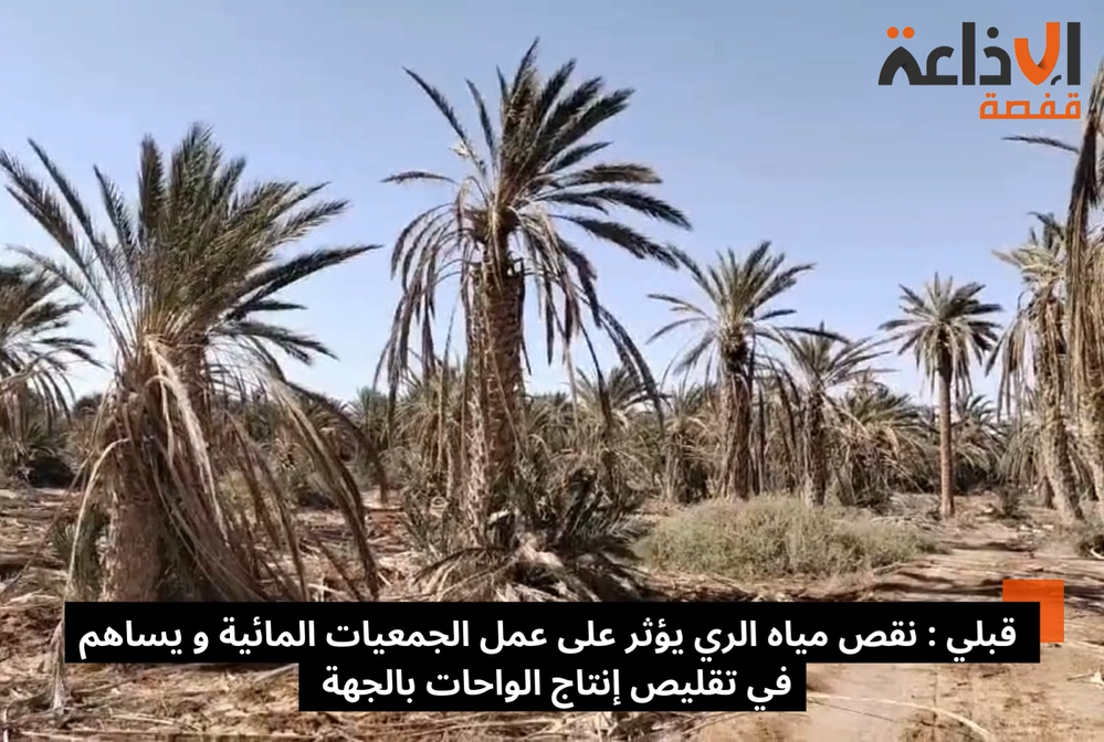 قبلي : نقص مياه الري يؤثر على عمل الجمعيات المائية و يساهم في تقليص إنتاج  الواحات بالجهة 