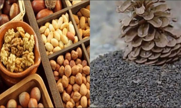 هيئة السلامة الصحية تحجز 15 طنا من منتجات "الزقوقو" والفواكه الجافة