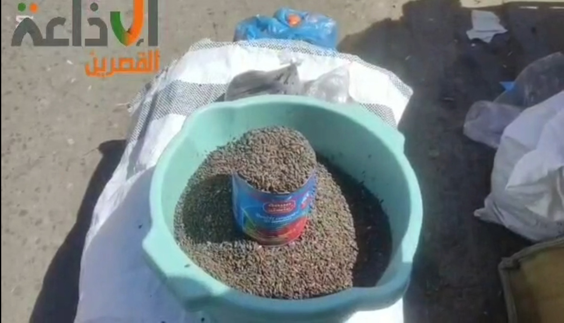 اجواء احتفال مدينة القصرين بالمولد النبوي الشريف