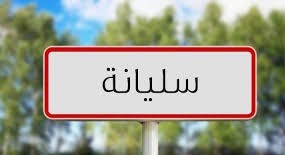  سليانة : الاعداد للموسم الفلاحي وتاكيد على ضرورة توفير مستلزمات الانتاج من بذور واسمدة. 