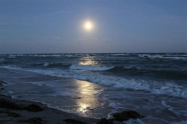 ليل الخميس: السماء صافية إلى قليلة السحب على كامل البلاد والحرارة بين 21 و30 درجة