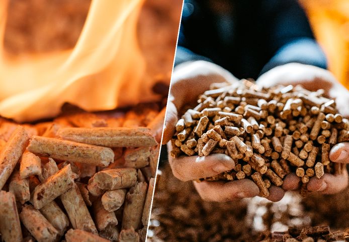 تثمين بقايا الواحة لاستخراج الوقود البيئي : مشروع يندرج ضمن الاقتصاد الاخضر والدائري  خلق مواطن شغل ويستعد للتصدير