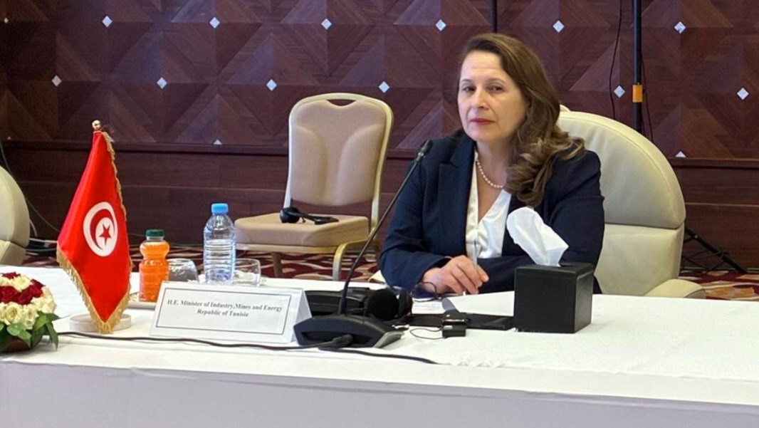 وزيرة الصناعة تؤكد أهمية التكامل الإفريقي للرفع من تنافسية قطاع صناعة السيارات 