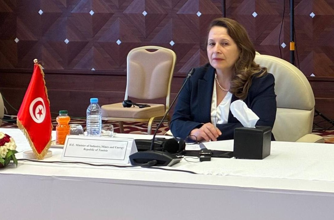 وزيرة الصناعة تؤكد أهمية التكامل الإفريقي للرفع من تنافسية قطاع صناعة السيارات