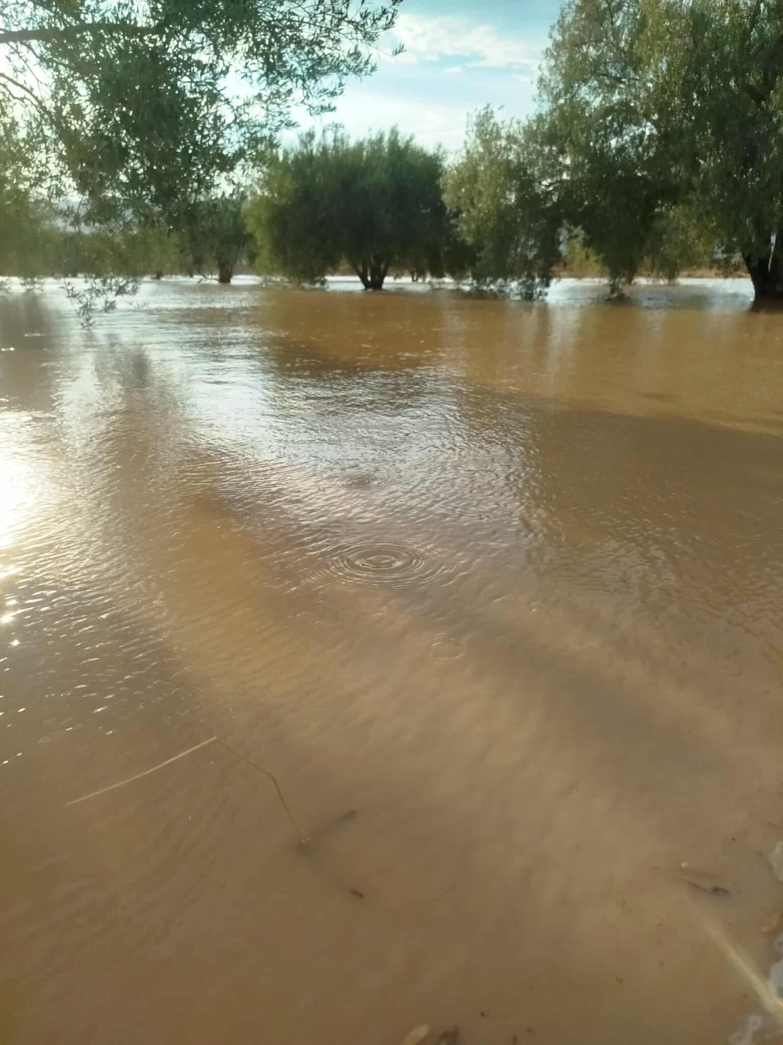 السنة المناخية في تونس يمكن تقسيمها الى فترتين