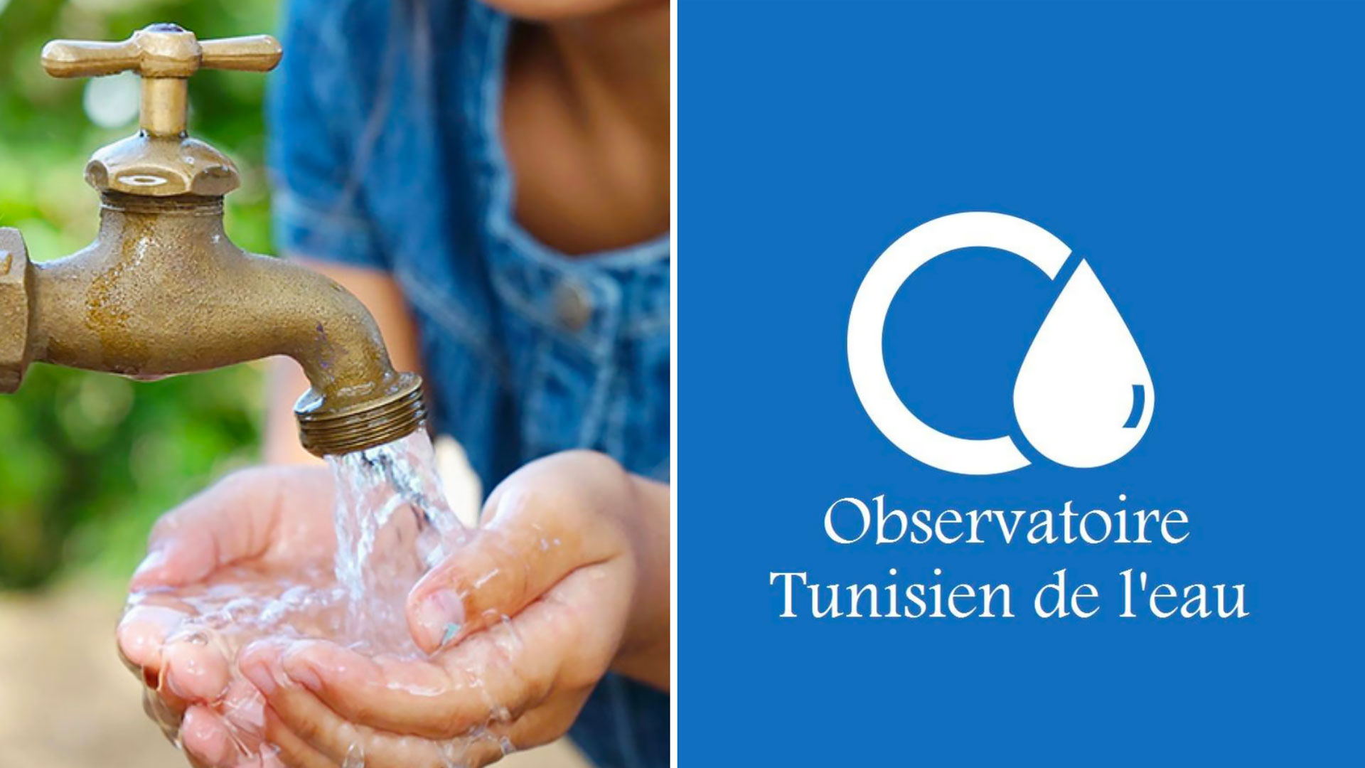 Stress hydrique : l’Observatoire Tunisien de l’Eau appelle à repenser la gestion