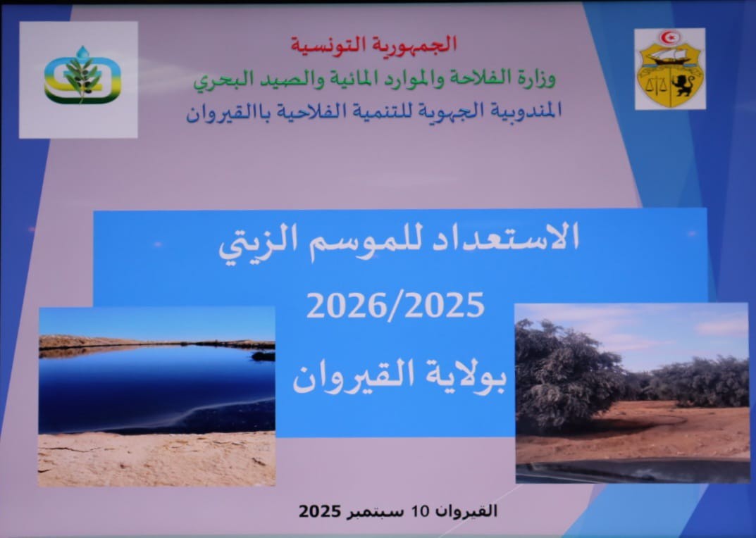 القيروان : موسم زيتي مرتقب في حدود   52 الف طن 