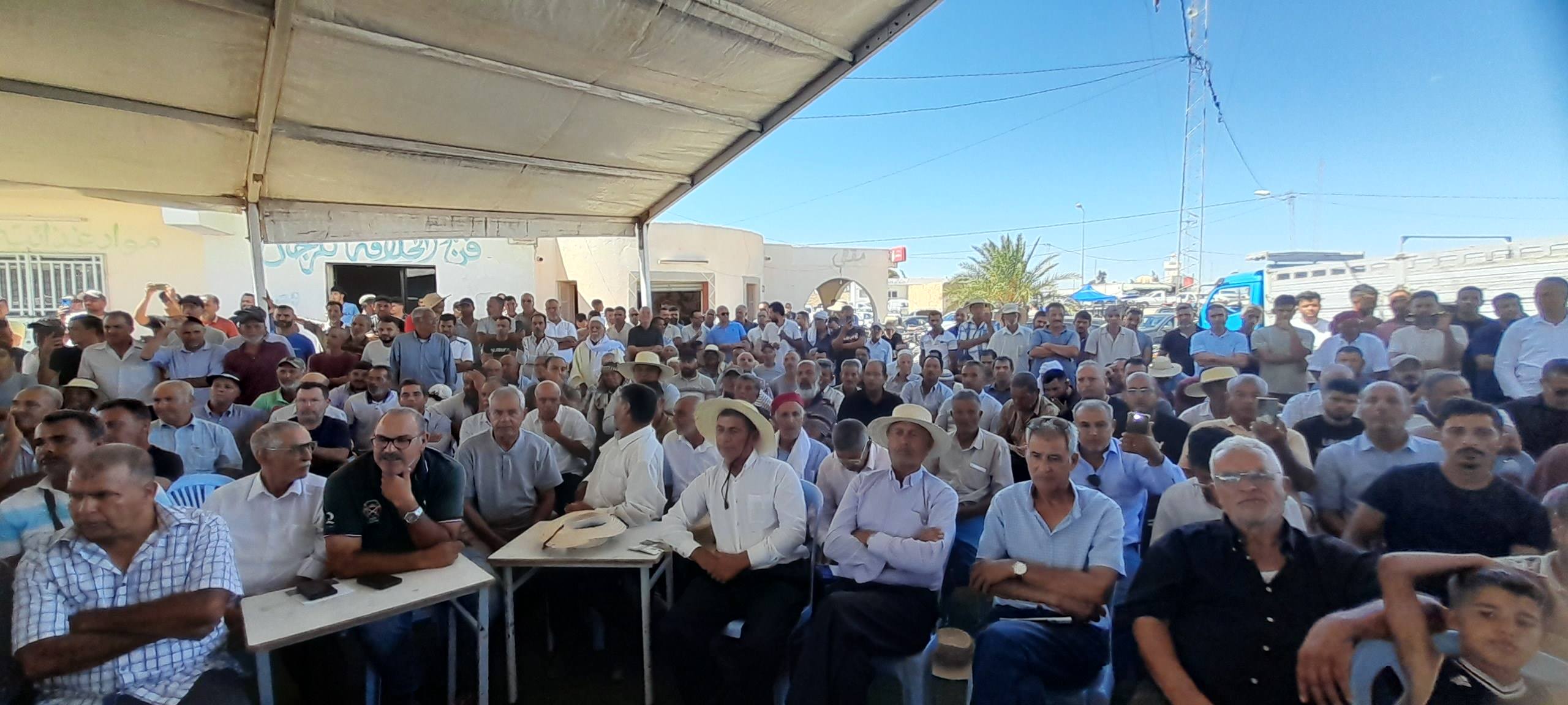 القيروان: اجتماع جهوي لتدارس أبرز مشاغل قطاع الزيتون.