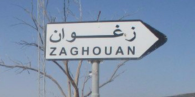 حملة التلقيح ضد الكلب:تنفيذ 1724 عملية لحد الان